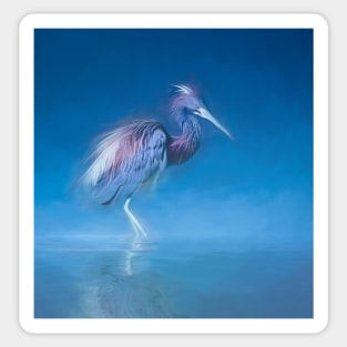 Tricolored heron in morning mist Sticker